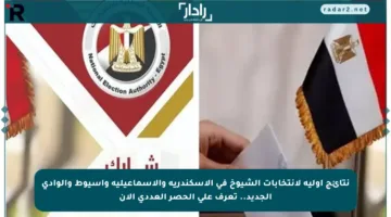 نتائج أولية لانتخابات الشيوخ في الإسكندرية والإسماعيلية وأسيوط والوادي الجديد.. تعرف على الحصر العددي الآن